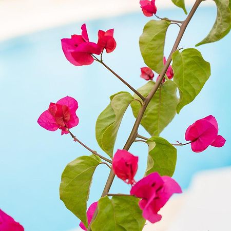 Apartamentos Los Tilos Peguera Kültér fotó
